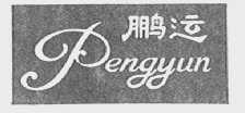 鹏运