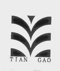 TIAN GAO