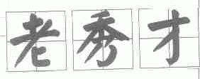 老秀才