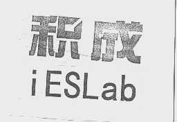 积成   IESLAB