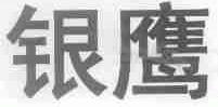银鹰