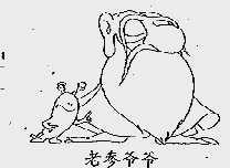 老参爷爷