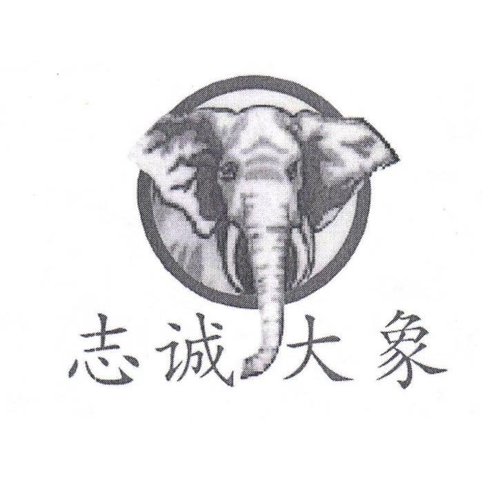 志诚大象