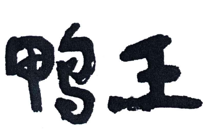 鸭王