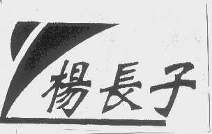 杨长子