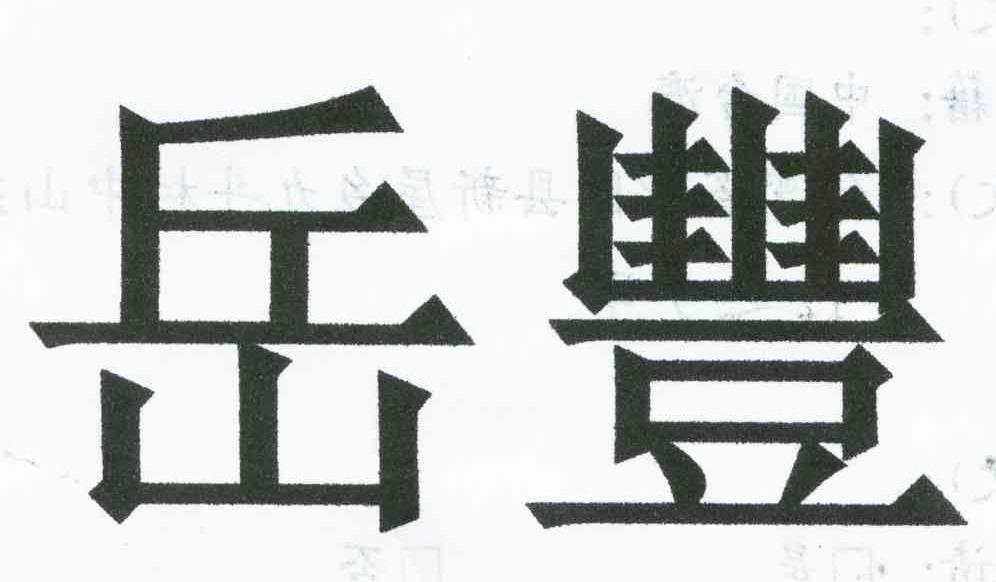 岳丰