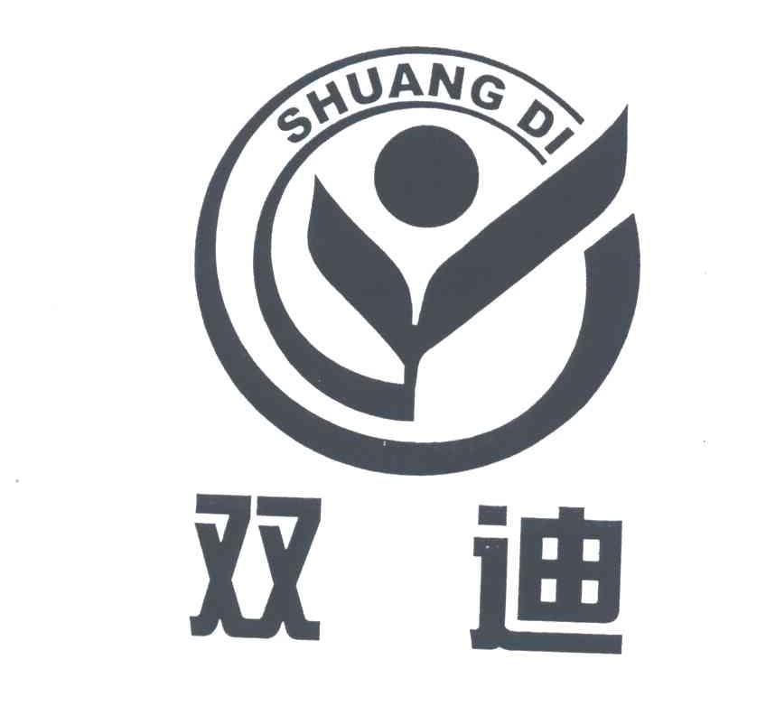 双迪