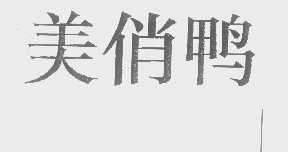 美俏鸭