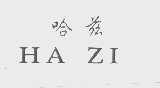 哈兹