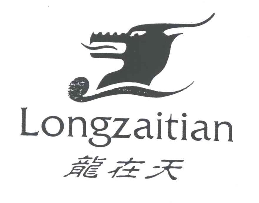 龙在天及图