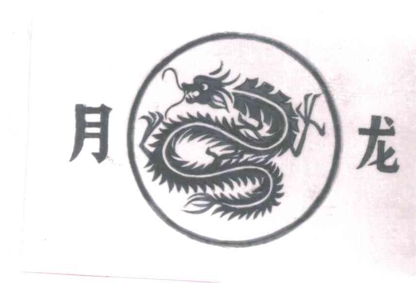 月龙