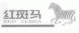 红斑马;RED ZEBRA