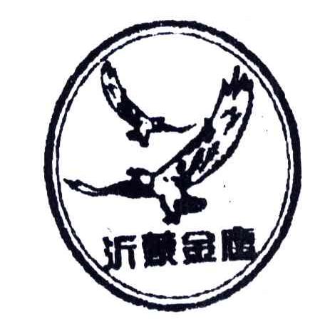 沂蒙金鹰
