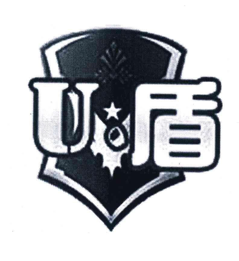 U 盾