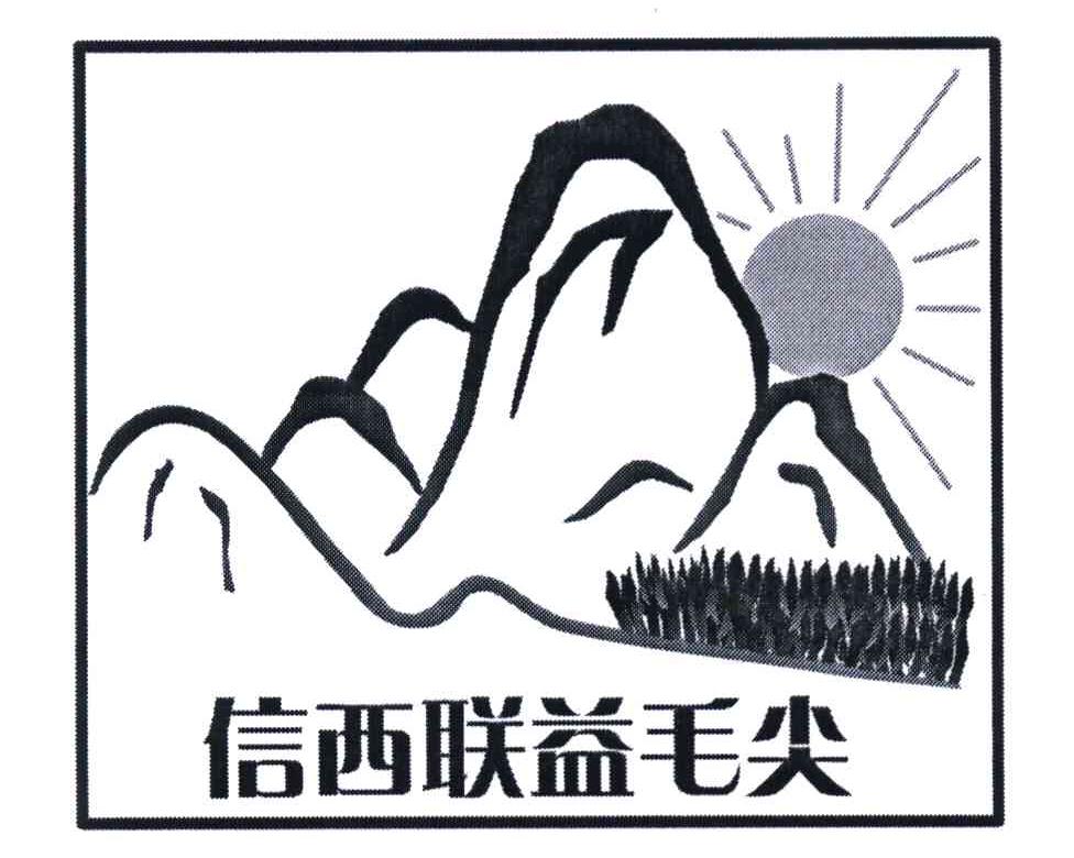信西联益毛尖