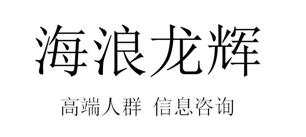 海浪龙辉 高端人群 信息咨询