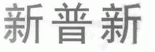 新普新