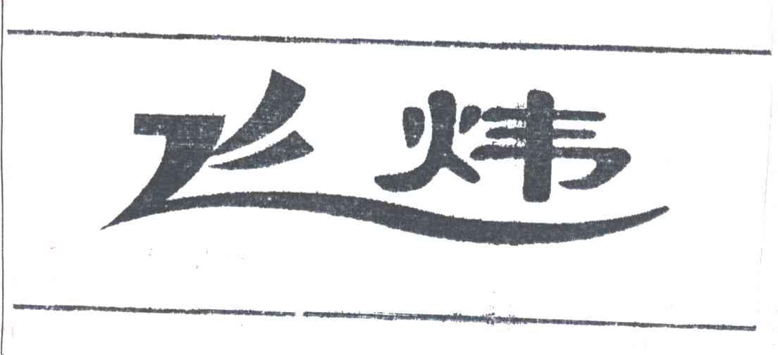 飞炜