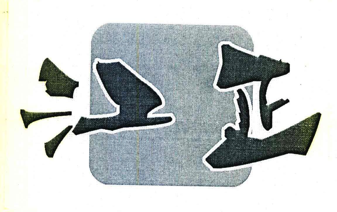 江正