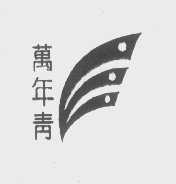 万年青
