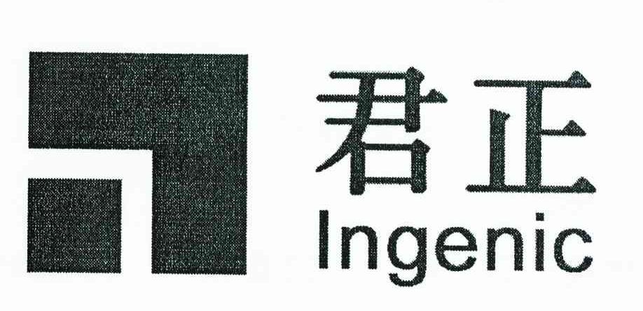 君正 INGENIC