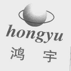 鸿宇