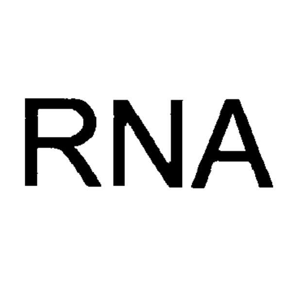 RNA