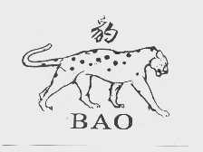 豹