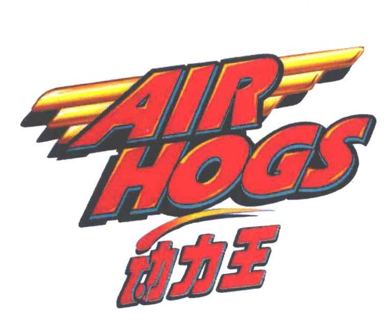 动力王;AIR HOGS