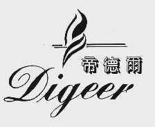 帝德尔  DIGEER