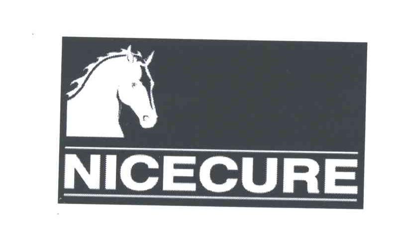 NICECURE及图