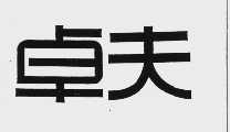 卓夫