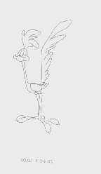 ROAD RUNNER