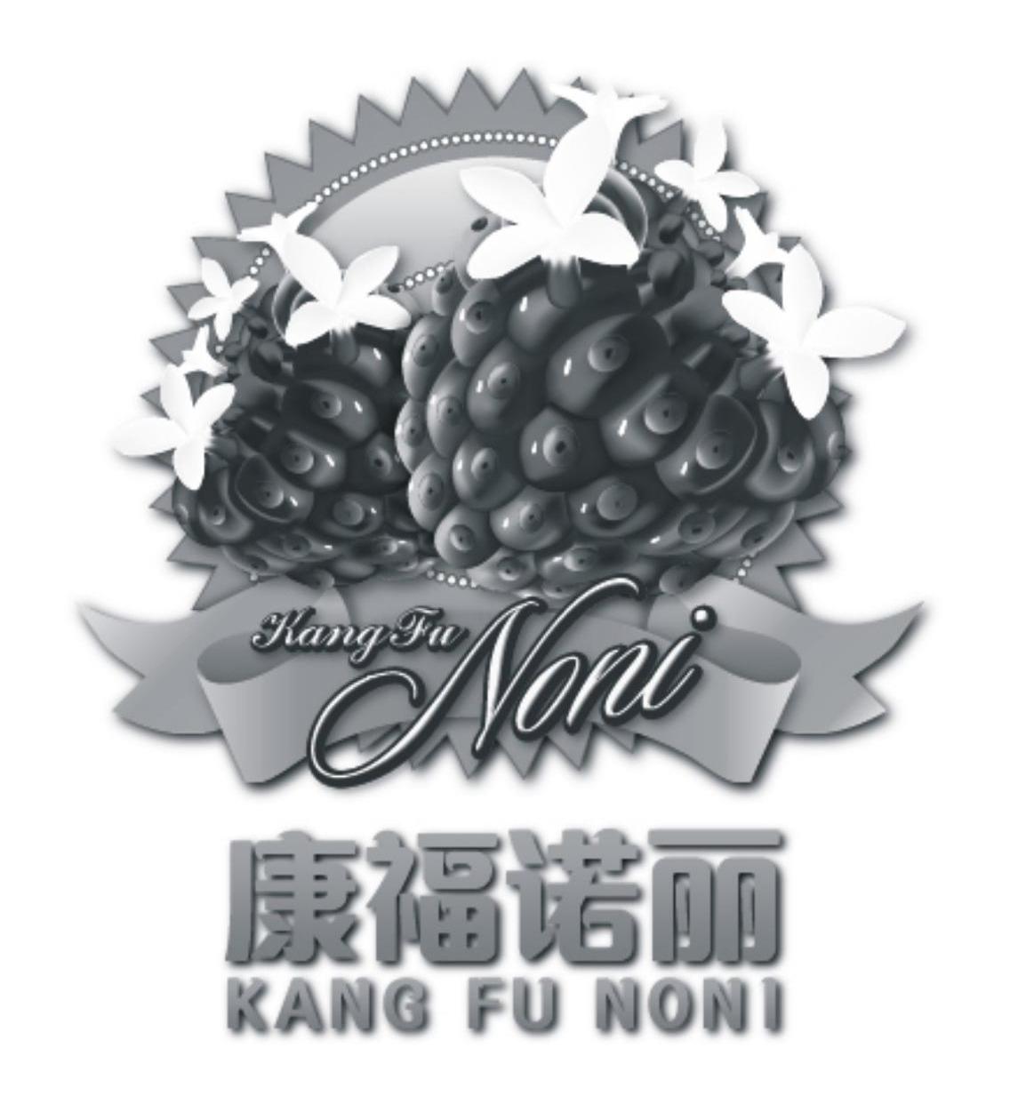 康福诺丽 KANG FU NONI