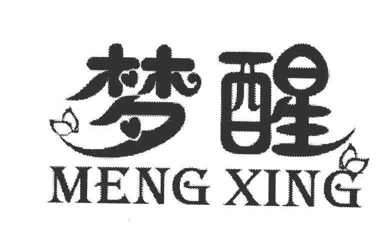梦醒