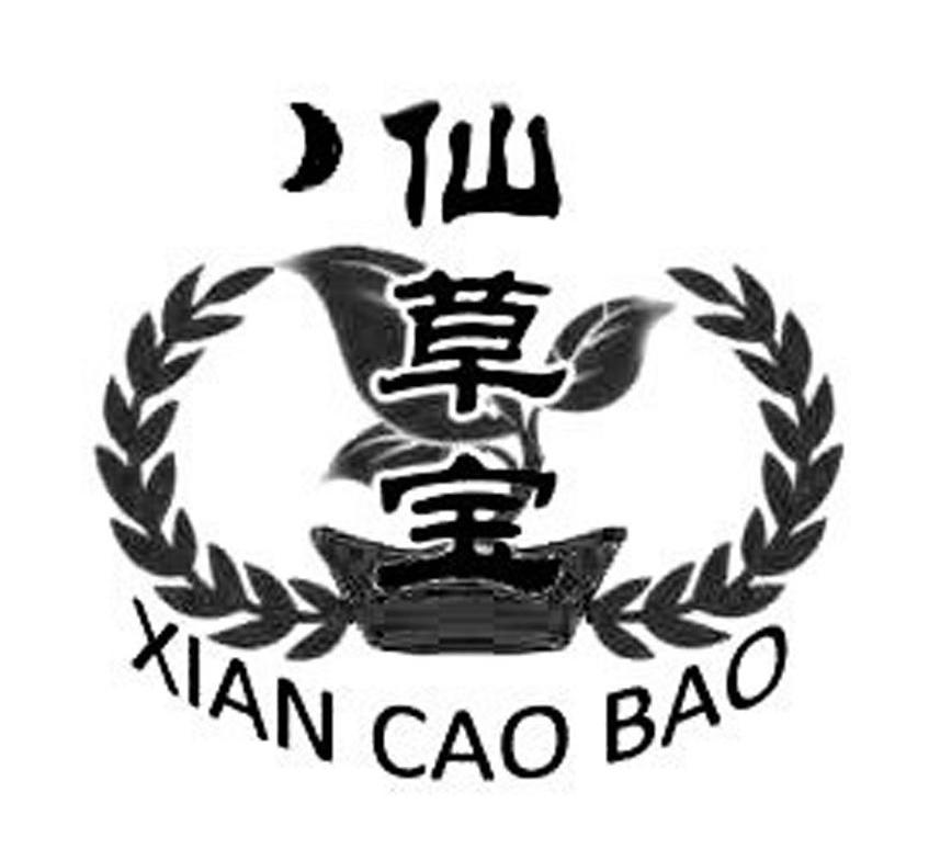 仙草宝