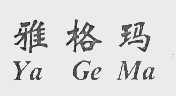 雅格玛