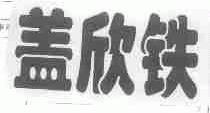 盖欣铁