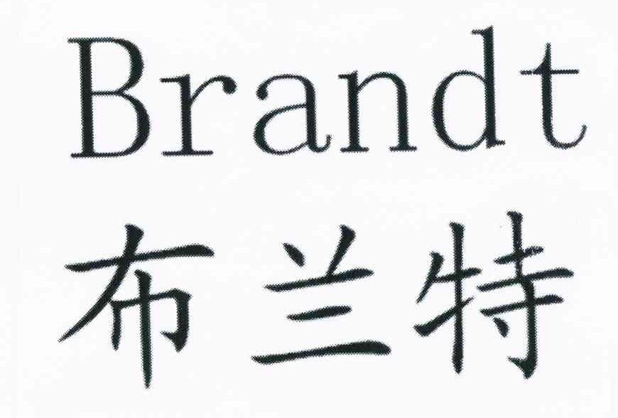 布兰特;BRANDT