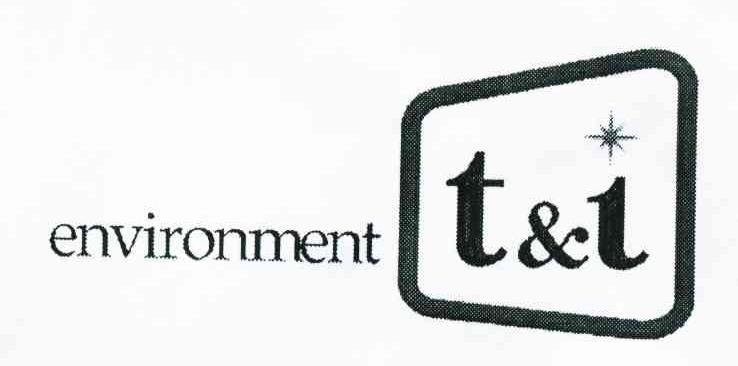 ENVIRONMENT T&I
