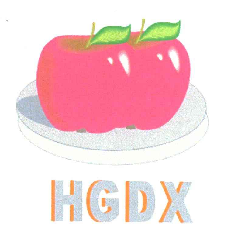 HGDX