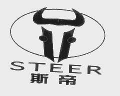 斯帝   STEER