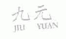 九元