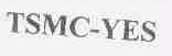 TSMC-YES