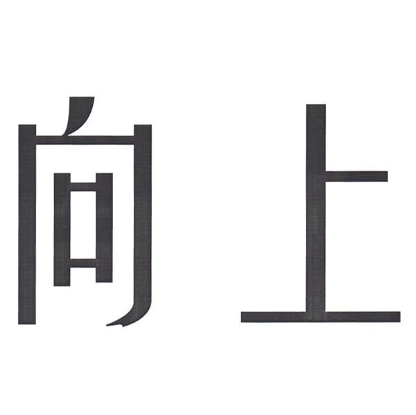 向上