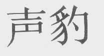 声豹