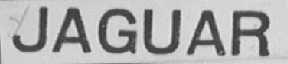 JAGUAR