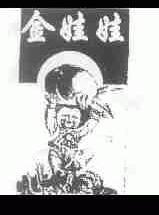 金娃娃