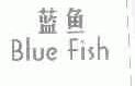 蓝鱼;BLUE FISH