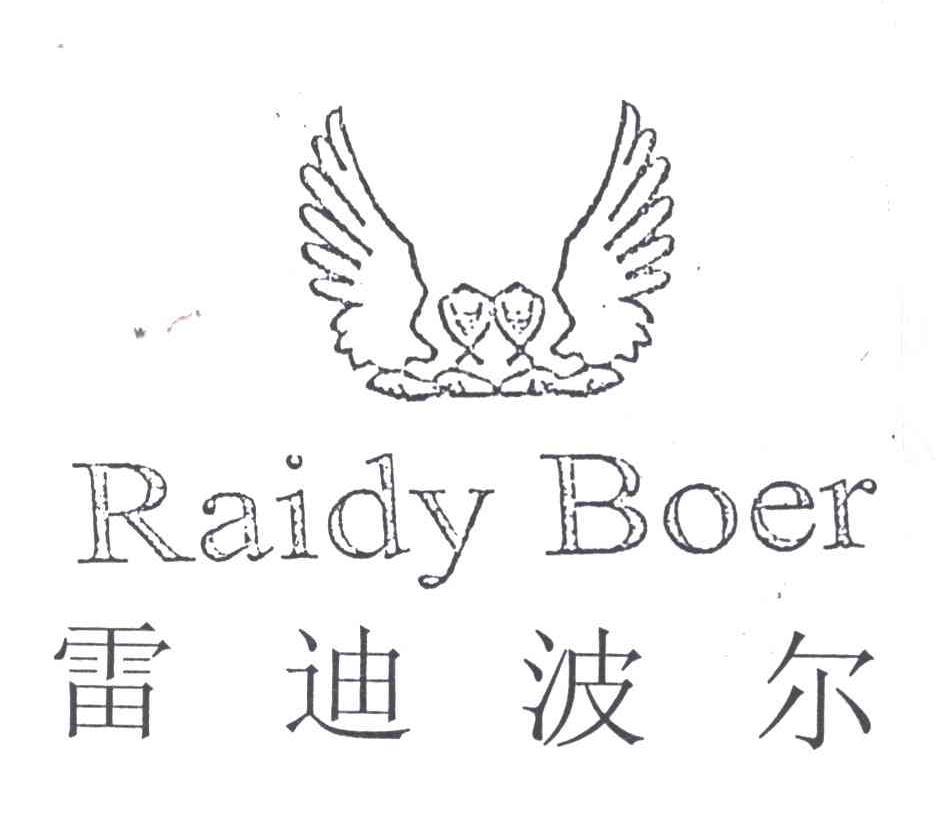 雷迪波尔;RAIDY BOER